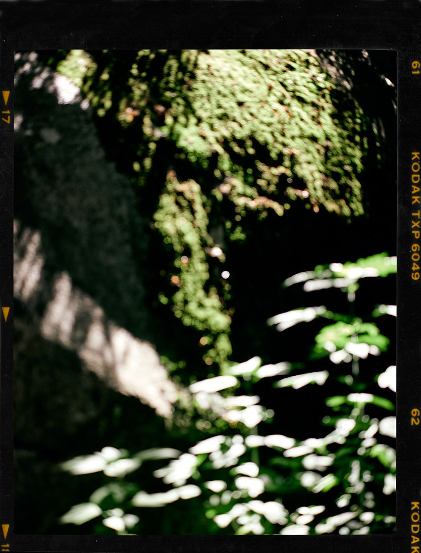 神山隆二氏との初コラボレーションアイテムをリリース – ルナサンダル