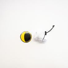 画像をギャラリービューアに読み込む, LUNA PACK<BR>〔ルナ パック〕